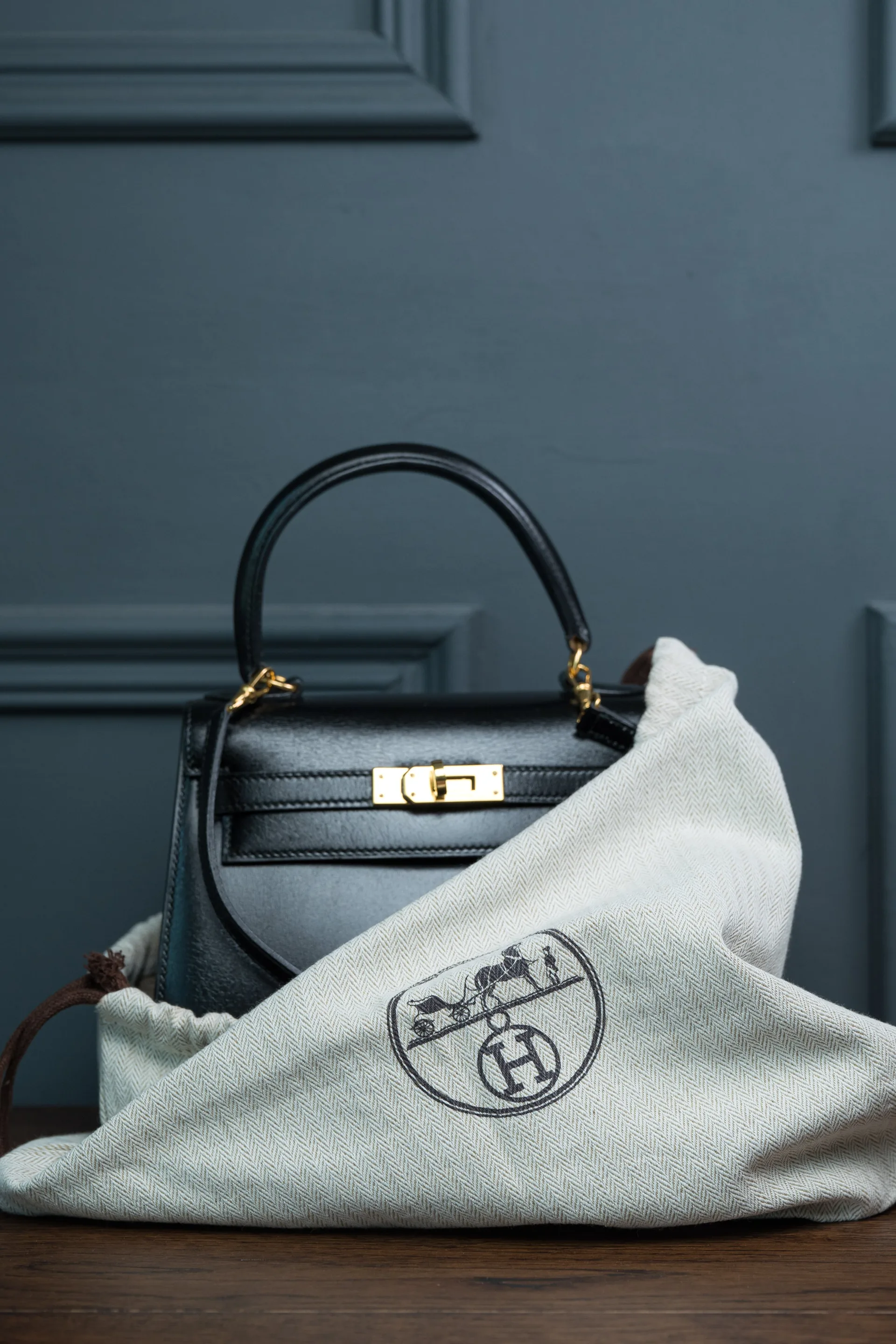 Hermès Kelly 20 2