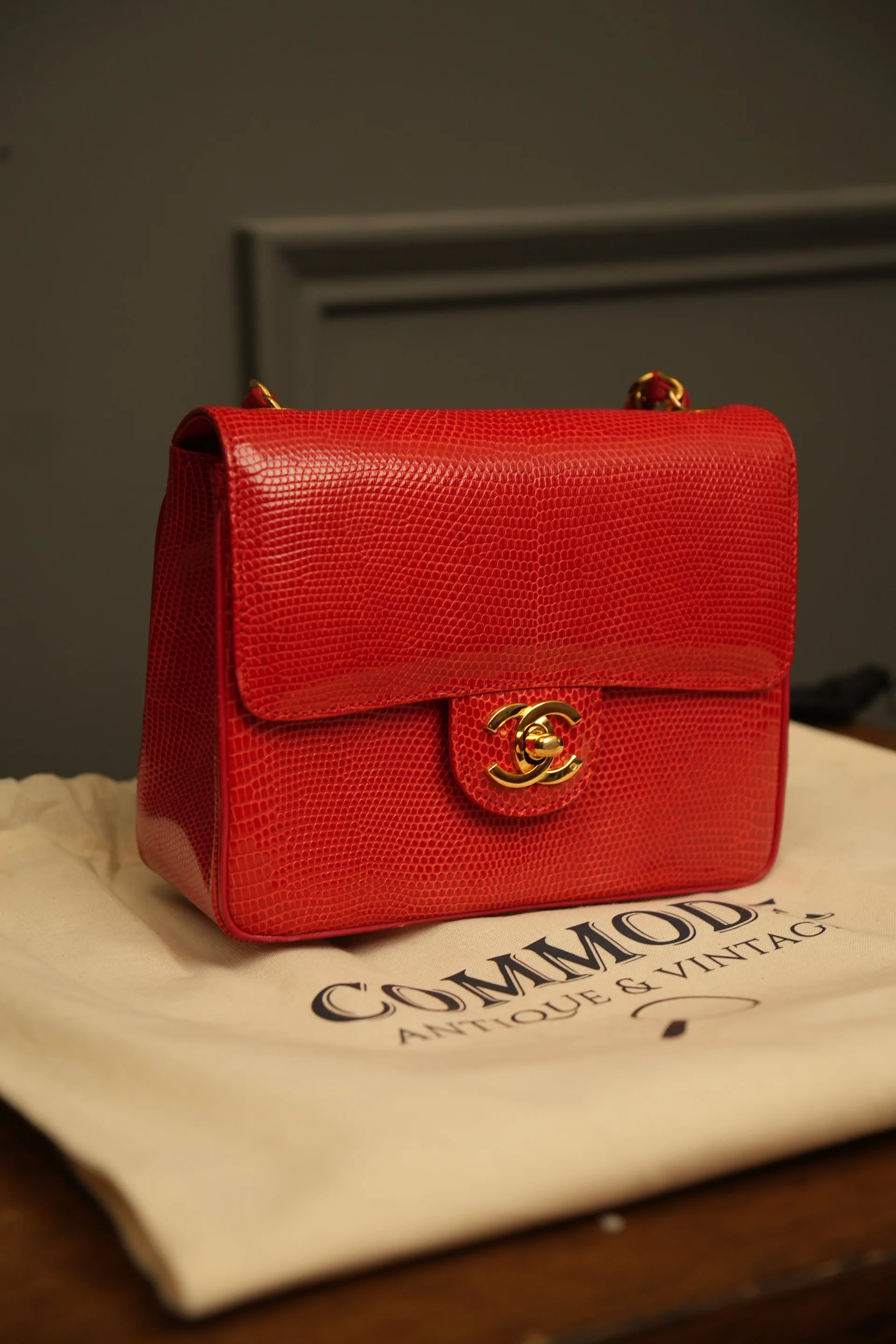 Chanel Red Lizard