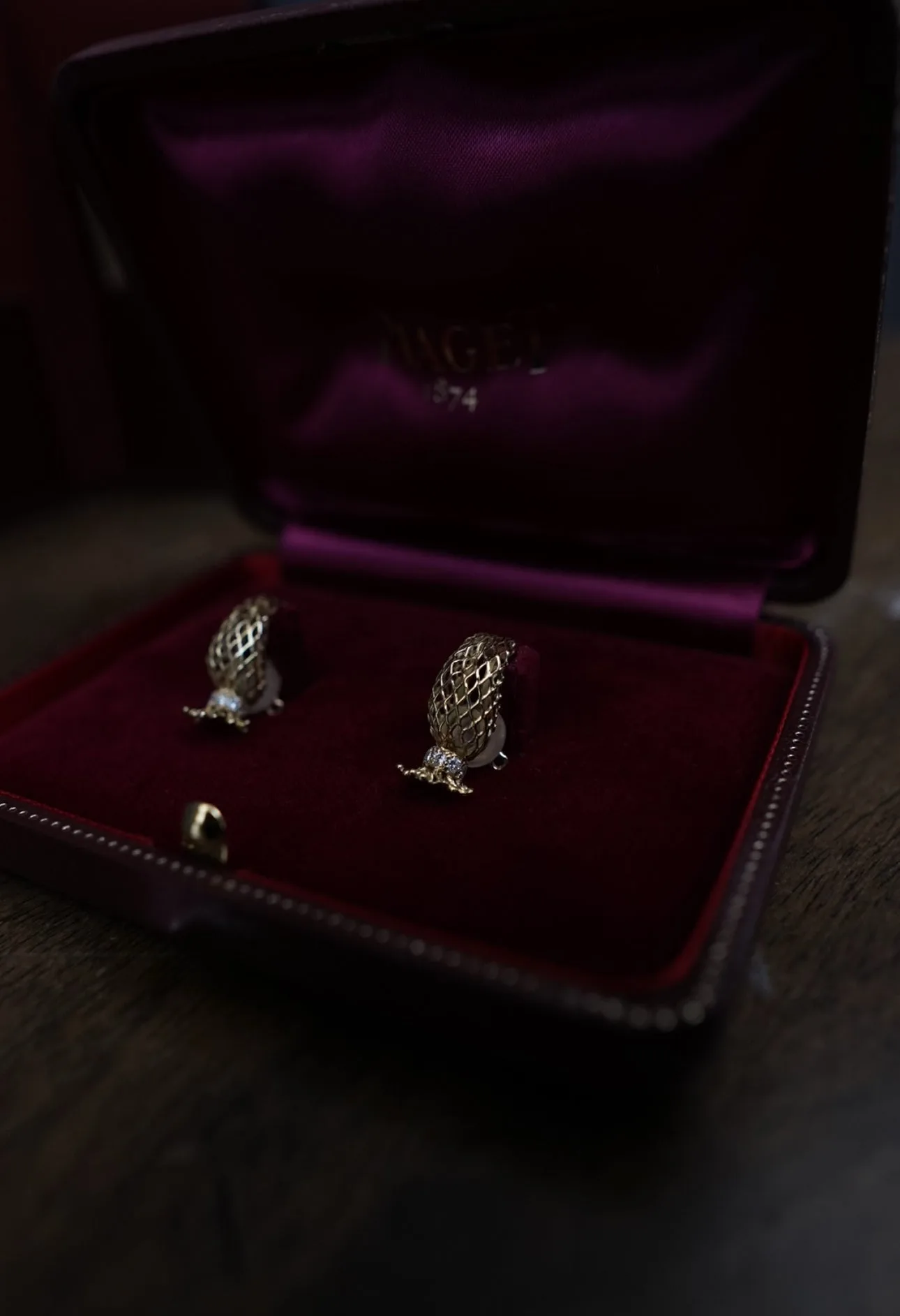 Piaget Clips 2