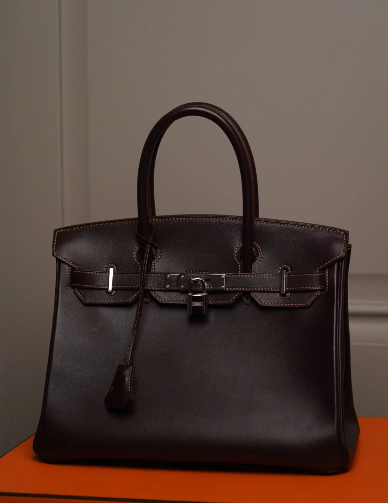 Hermès Birkin 25